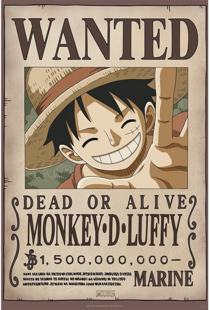 Luffy WANTED wall poster Paper Print - Animation & Cartoons posters in India  - Buy art, film, design, movie, music, nature and educational  paintings/wallpapers at