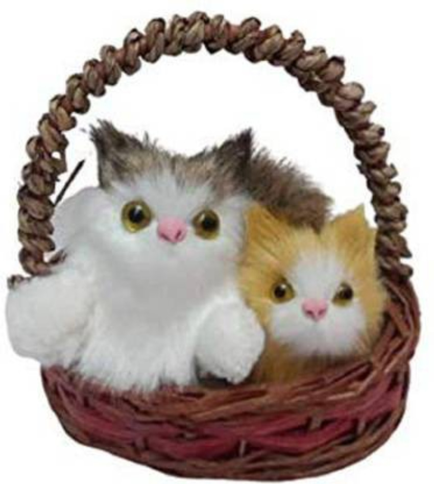 Cute cats for kids discount