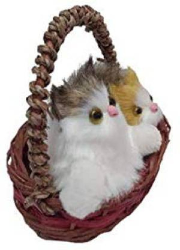 Buy KINGSMAN STORE Cute cat Doll in Basket Two Soft Cats for Kids