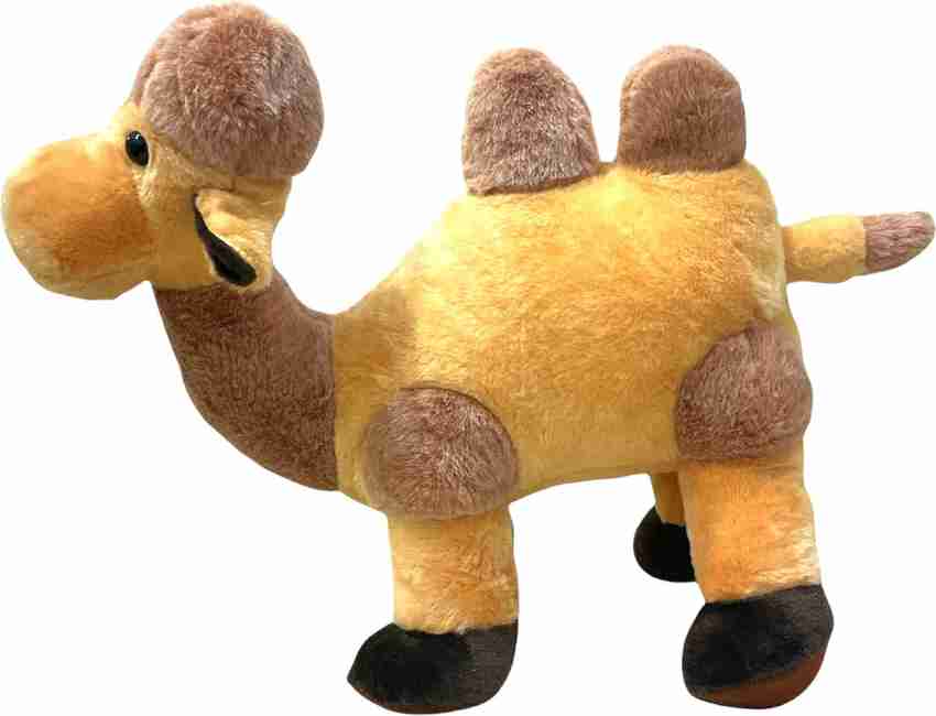 Teddy lama 2025
