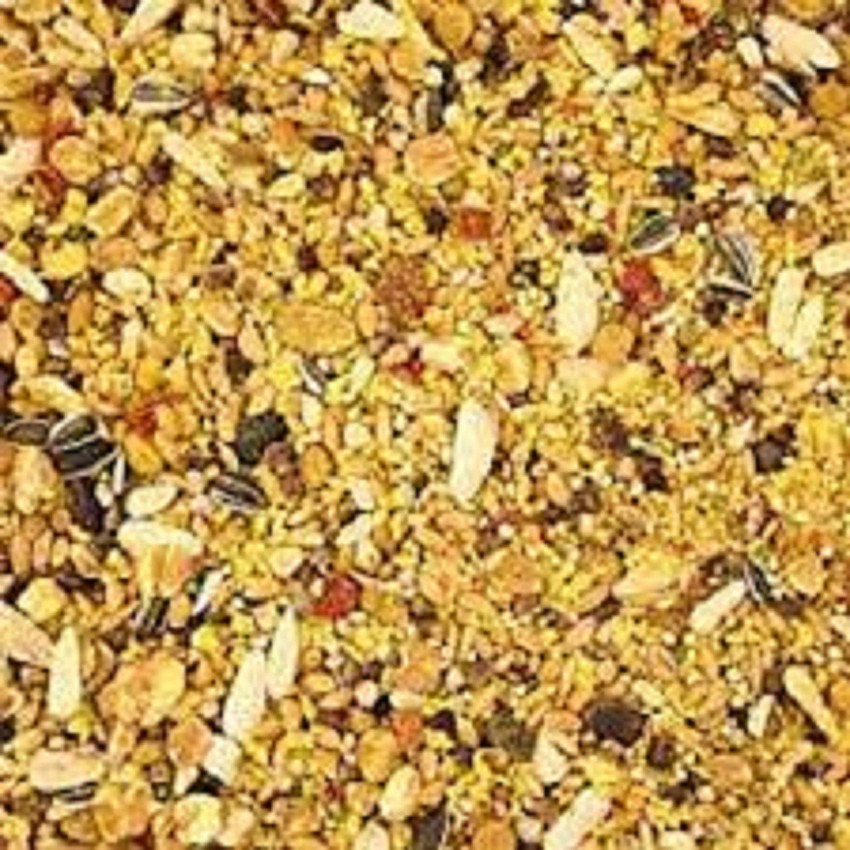 HEALTHY AND LOVING PETS Bajri Bird Food 1KG Mix Seed for Budgies Love Birds Cocktails and Finches Small Birds Oats 1 kg Dry Adult New Born Senior Young Bird Food Price