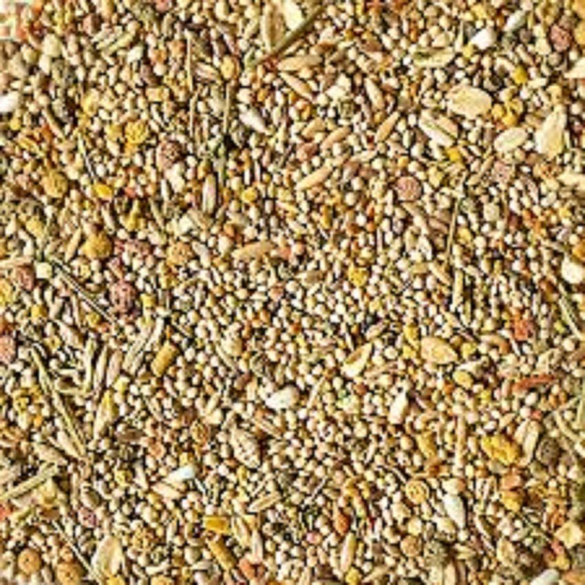 Bajri bird food store