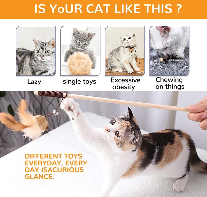 Qpets Premium Cat Toy Interactive Cat Toys Set of 5 Cat Teaser