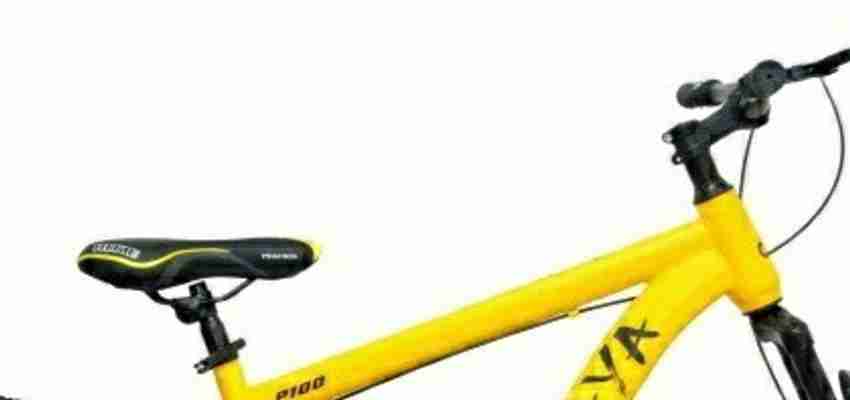 Pinamaya cycle price top