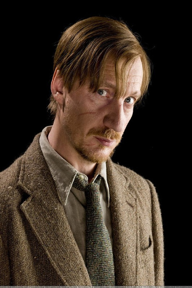 David thewlis on sale harry potter