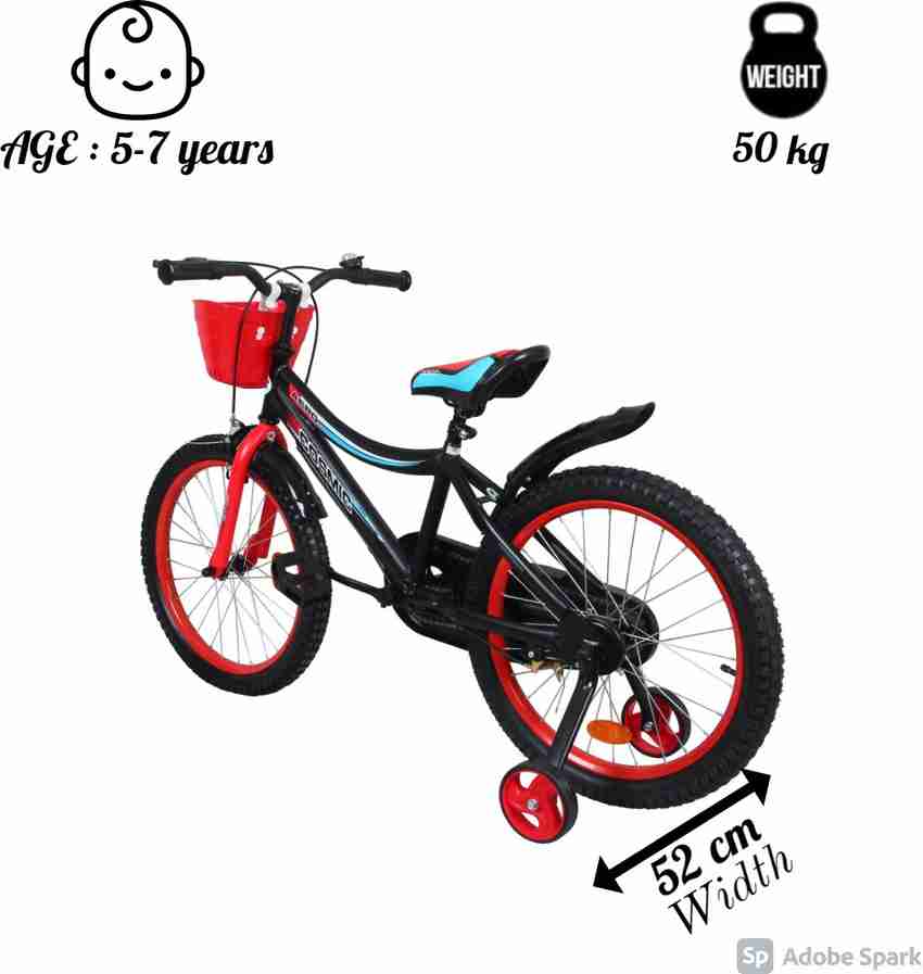 20 inch sales bike trainer