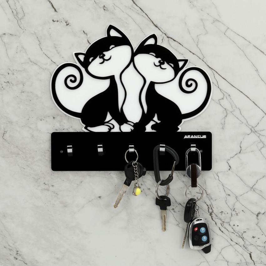 ARANEUS Acrylic Key Holders Home Storage Hooks Key Holder Stand