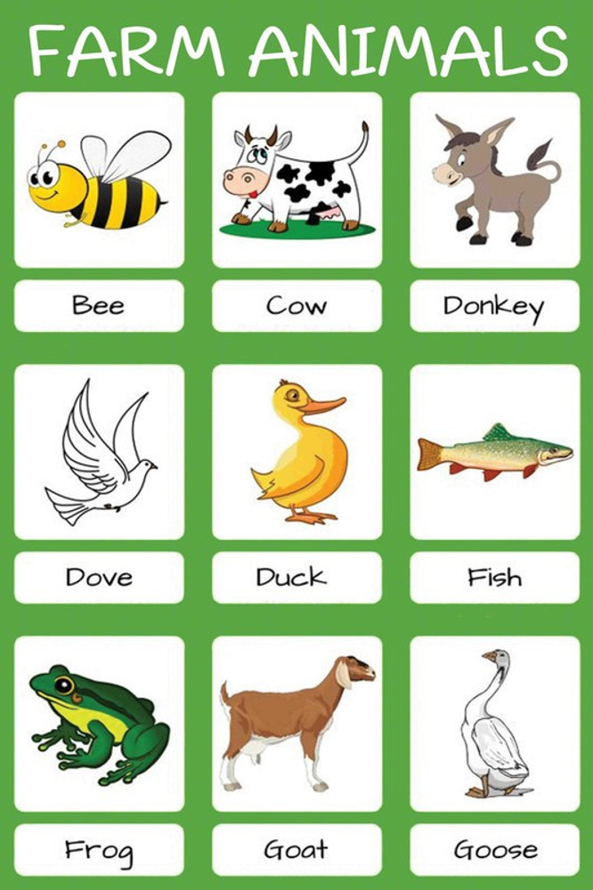 Domestic Animals Images For Kids