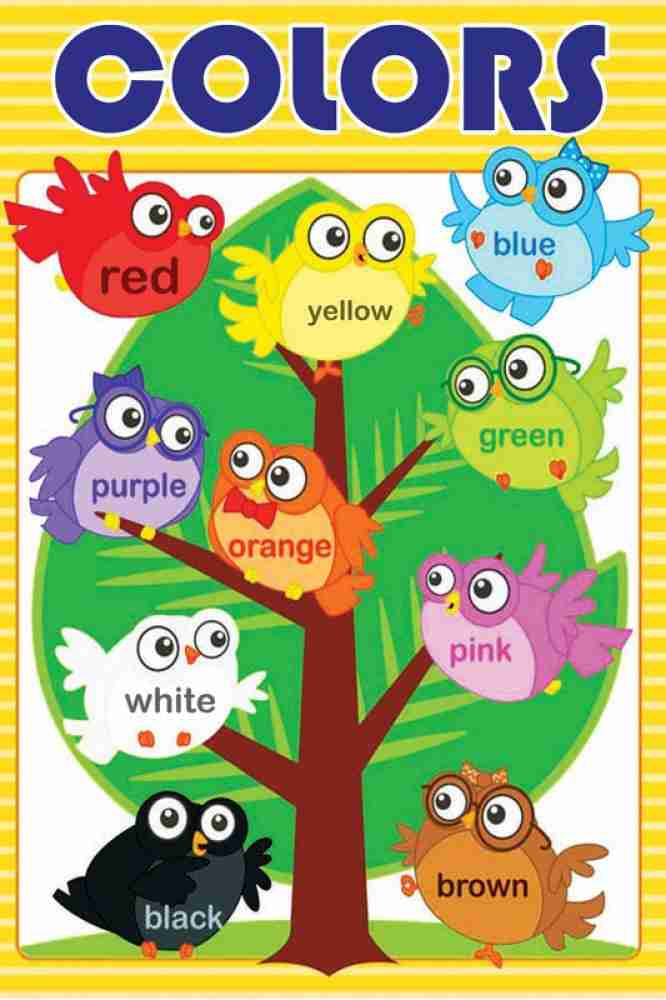 Colors Poster Kids Educational For Wall Play School Room Classroom Décor Item Learning Decoration High Resolution 300 Gsm Paper Print Children Decorative Posters In India