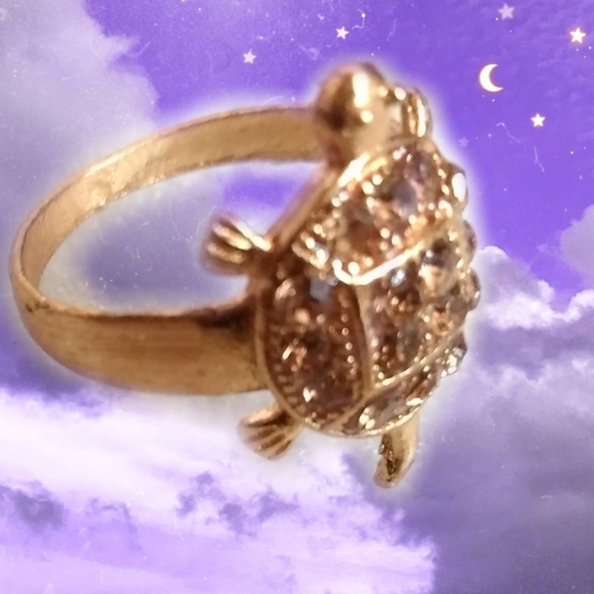 Turtle Ring:धन को आकर्षित करती है कछुआ रिंग, जानिए धारण करने का सही तरीका -  Turtle Ring Attract Money Know These Things Before Wearing All Details In  Hindi - Amar Ujala Hindi