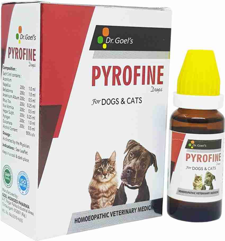 Fever in dogs treatment top at home