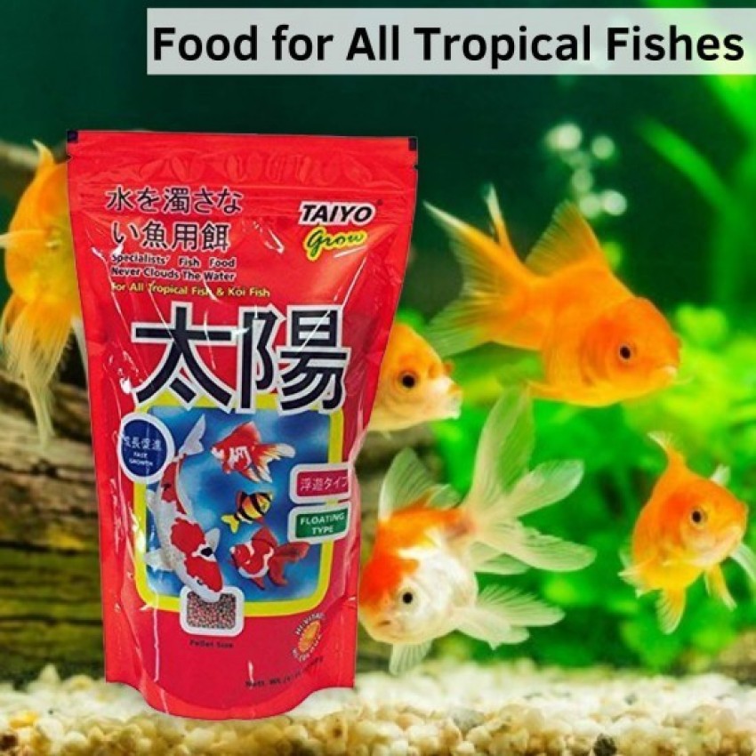 Aquarium fish food outlet price