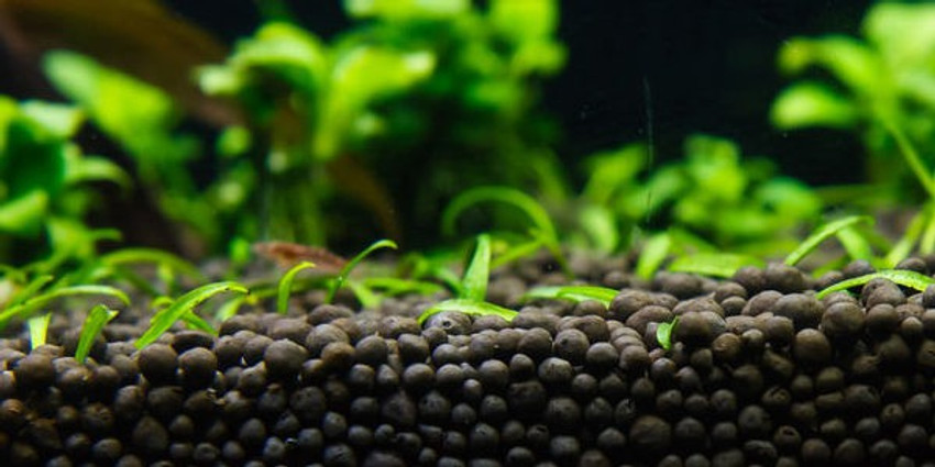 Aquarium substrate for live plants clearance