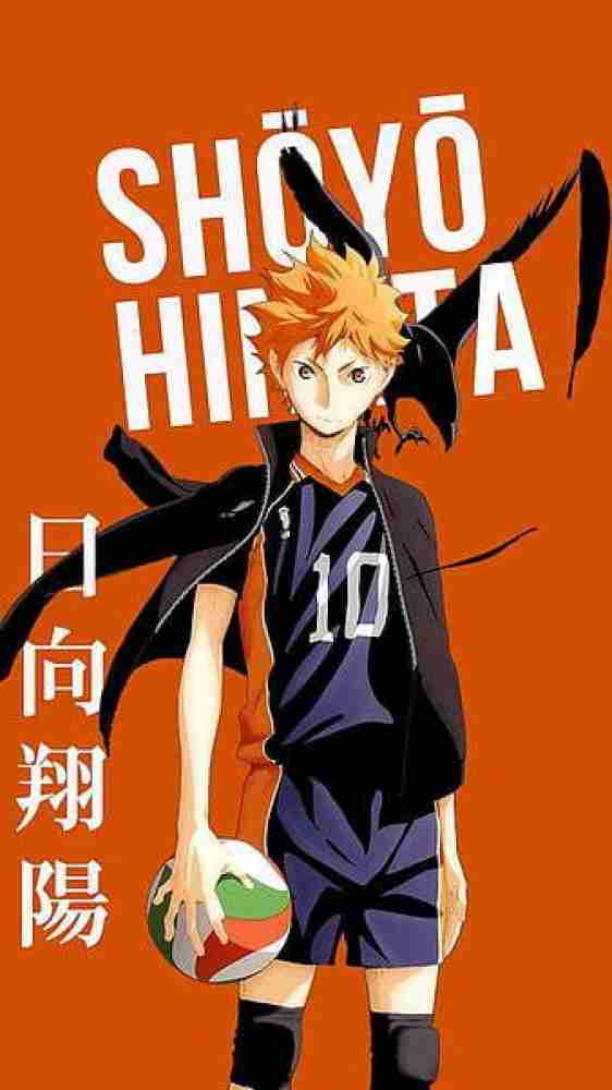 Shôyô Hinata Haikyuu Anime Character Paint By Numbers 