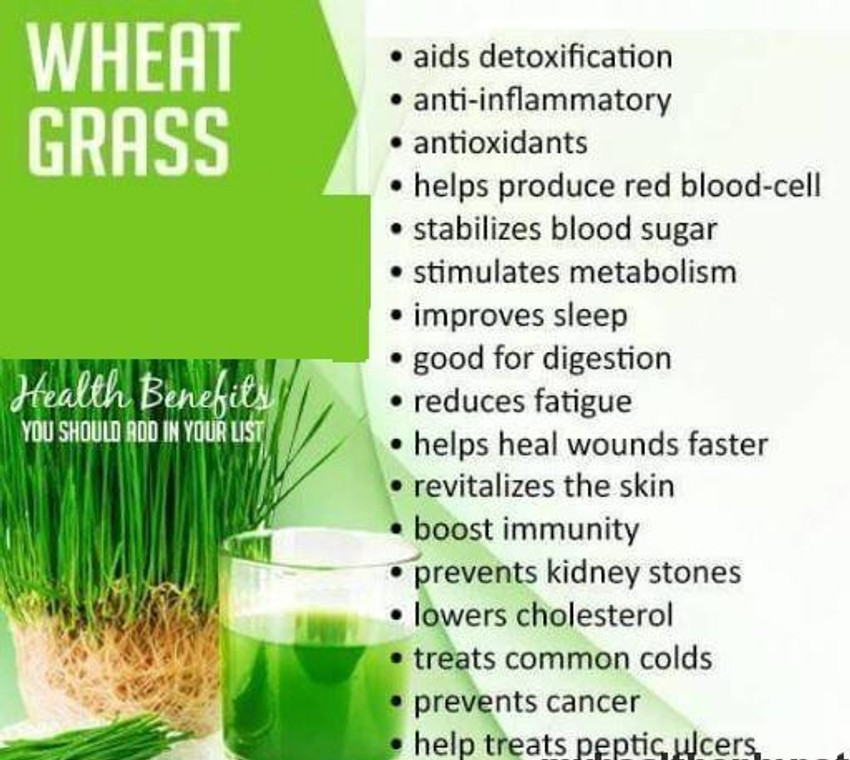 OMKAR INDIA WHEATGRASS JUICE WITH ORANGE FLAVOR SUGAR FREE PREMIUM