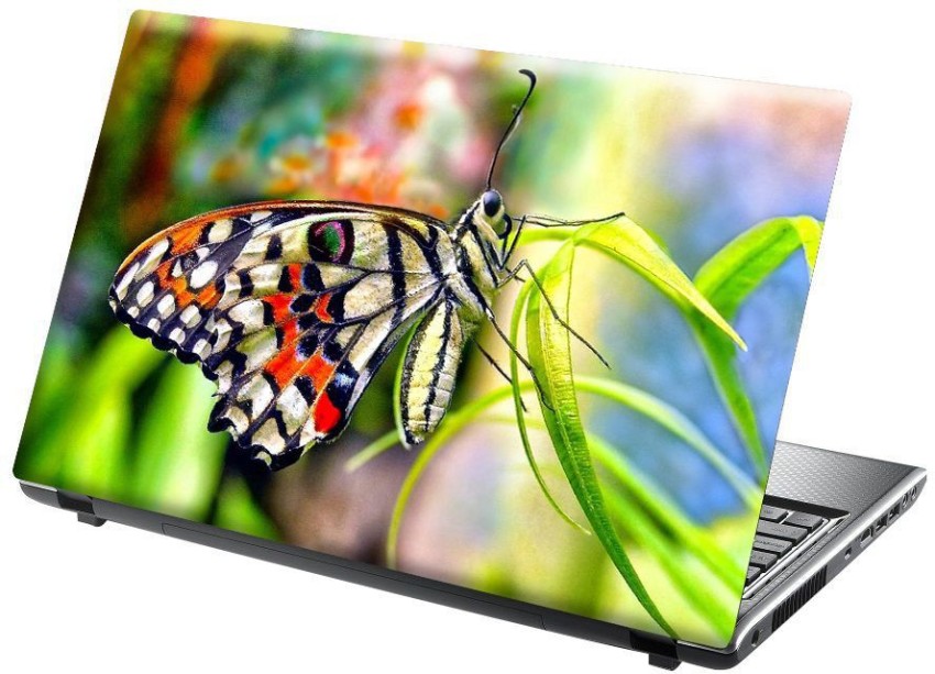 KREEPO Beautiful Butterfly Design Laptop Skin, Super Cool Sticker/  Decorative Decal For All Laptop (Multicolour, 15.6 Inch) Vinyl Laptop Decal  15.6 Price in India - Buy KREEPO Beautiful Butterfly Design Laptop Skin