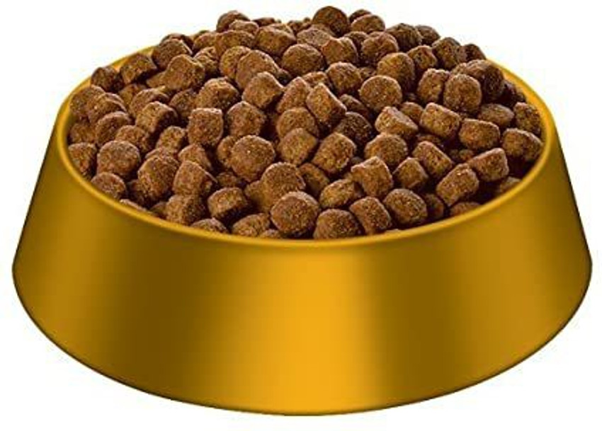 Hill s Science Diet Puppy Large Breed Chicken Meal Oats Recipe Chicken 15 kg Dry New Born Dog Food Price in India Buy Hill s Science Diet Puppy Large Breed Chicken Meal