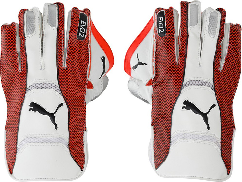 Puma evo 2 wicket keeping gloves discount