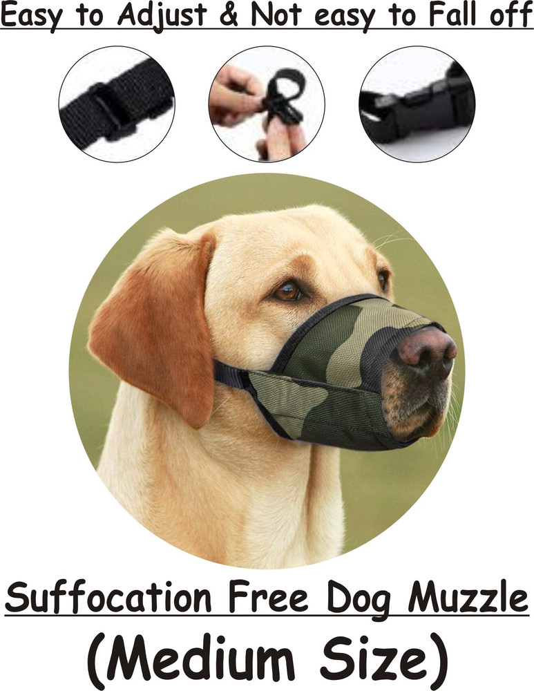 Dog muzzle pet supplies plus online