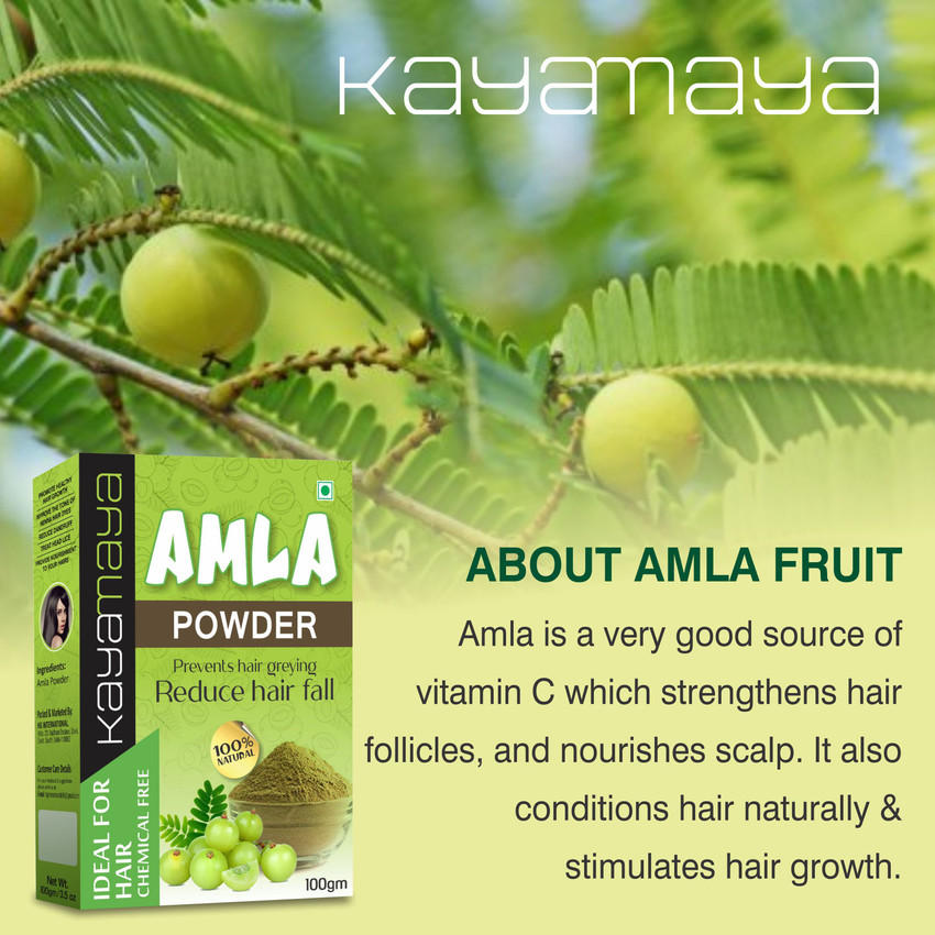 Details more than 140 amla powder uses for hair latest dedaotaonec