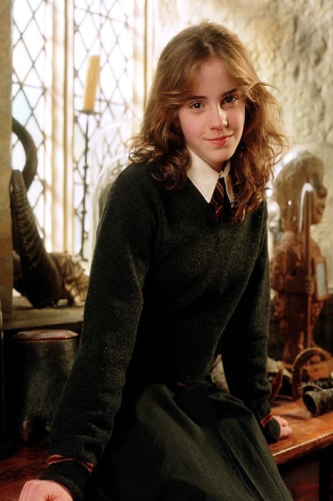 Wallpaper  Hermione Granger Harry Potter Harry Potter and the Goblet of  Fire movies fantasy girl women wizard brunette wavy hair long hair  brown eyes looking at viewer smiling cape sweater tie