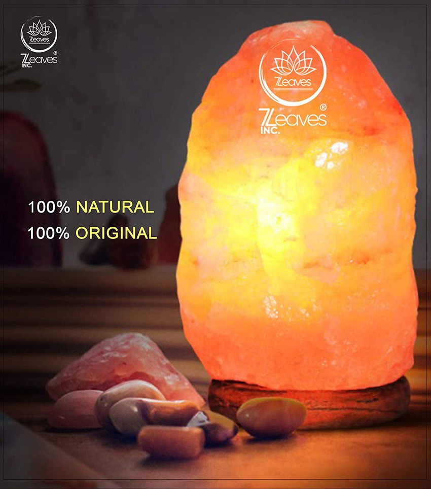 Salt lamp shade 2025