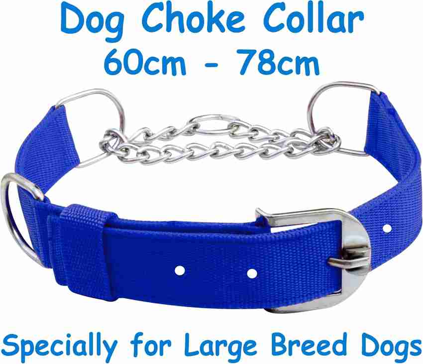 Large dog choke collar top