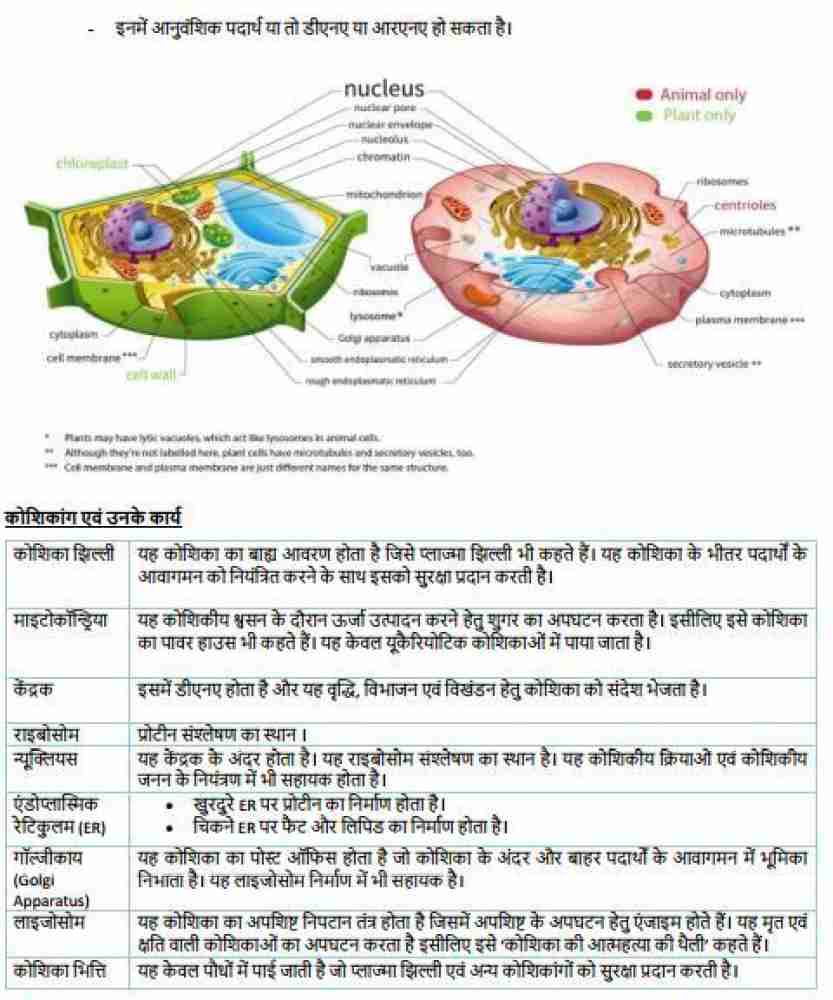 Pin on Science and Technology in Hindi