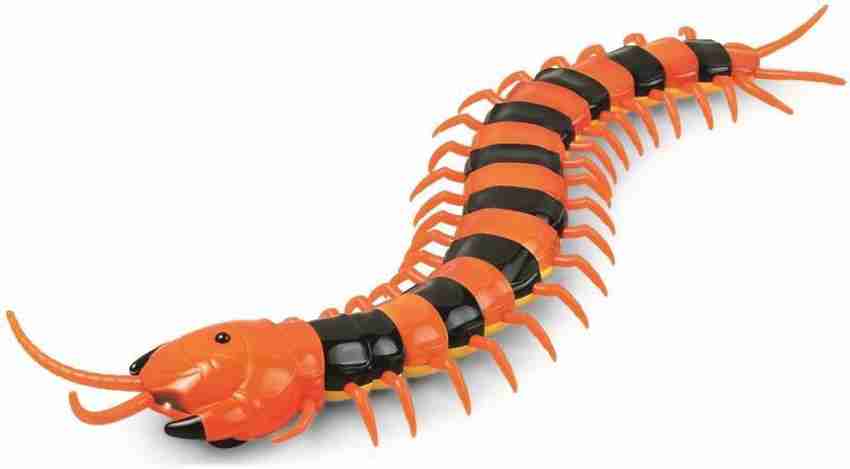 Remote control centipede clearance