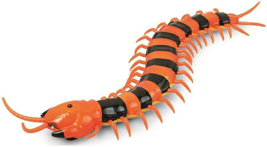 Radha Kripa Large Size RC Centipede Scolopendra Infrared Remote