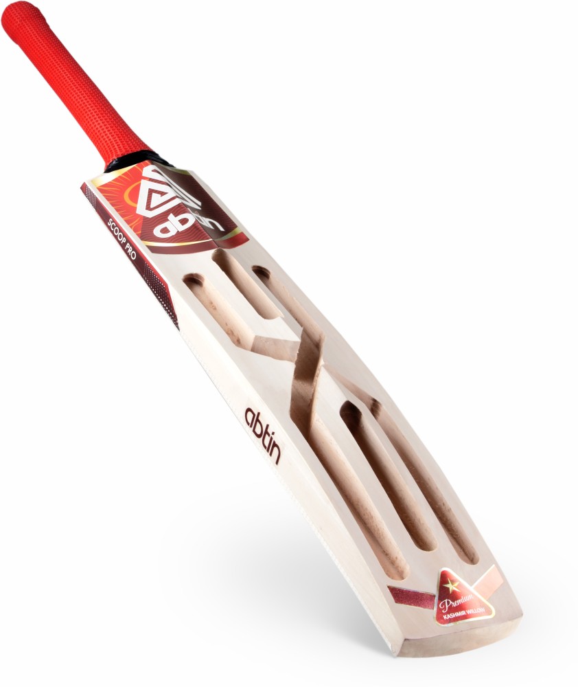 Premium Kashmir Willow Cricket Kit