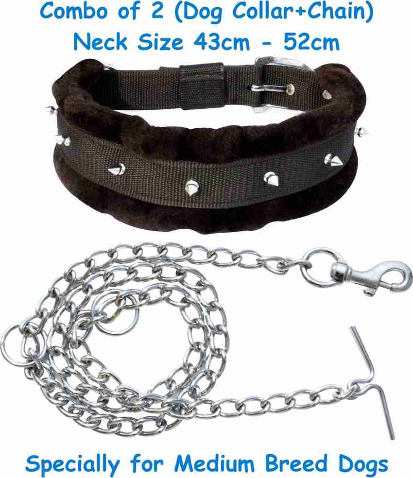 Dog neck belt outlet chain