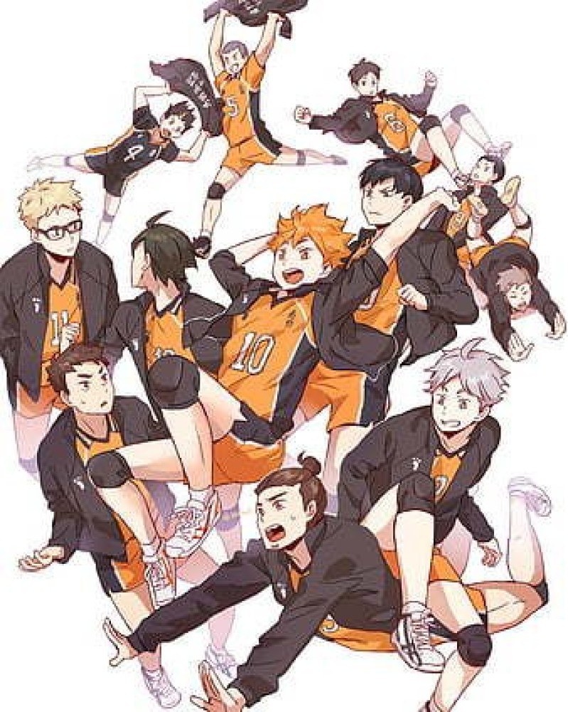 Laminated Haikyuu Poster Karasuno High School Volleyball Team