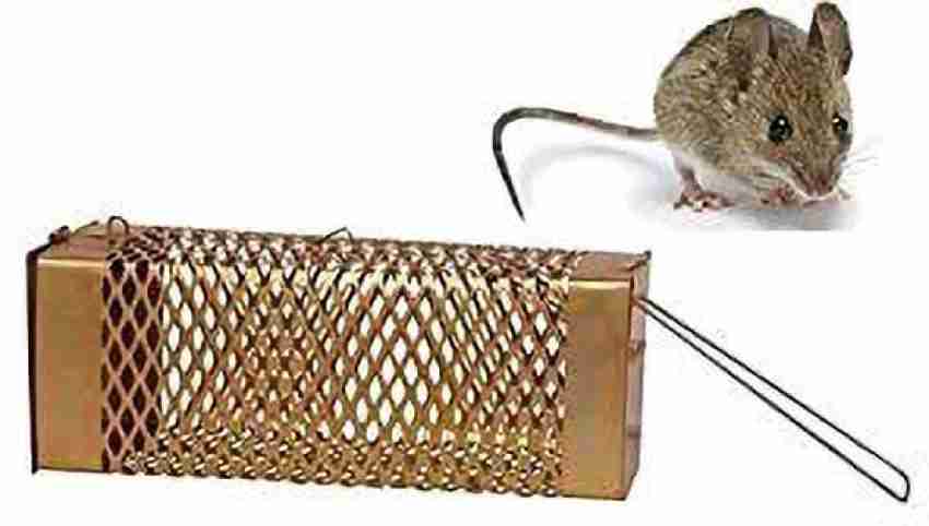 PANTHERZ Rat Trap, Mouse Trap, Pinjra, Wooden Live Trap Price in India -  Buy PANTHERZ Rat Trap, Mouse Trap, Pinjra