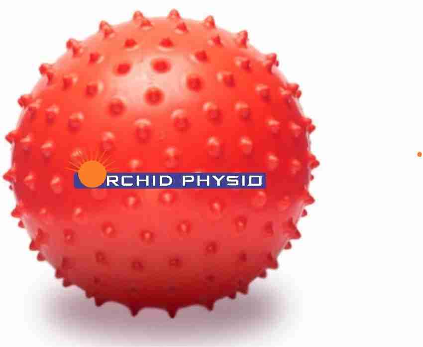 Orchid Physio SPIKY BALL Gym Ball Price in India Buy Orchid