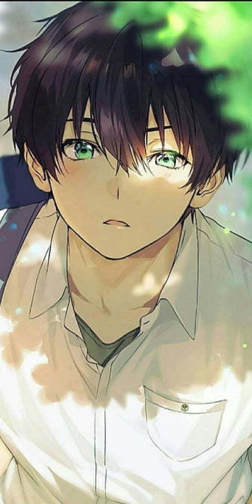 Anime Boy Aesthetic Aesthetic Anime Aesthetic Anime Boy Anime Aesthetic  Anime Boy Cute Matte Finish Poster Paper Print - Animation & Cartoons  Posters In India - Buy Art, Film, Design, Movie, Music,