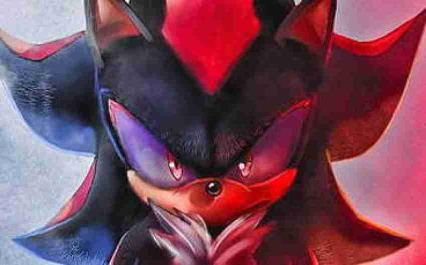 Movie Sonic + Movie Shadow = ? 