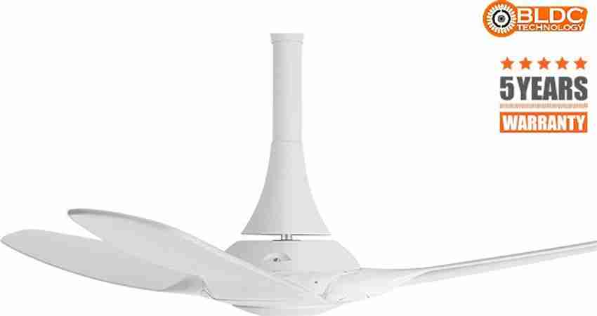 Orient top silent fan