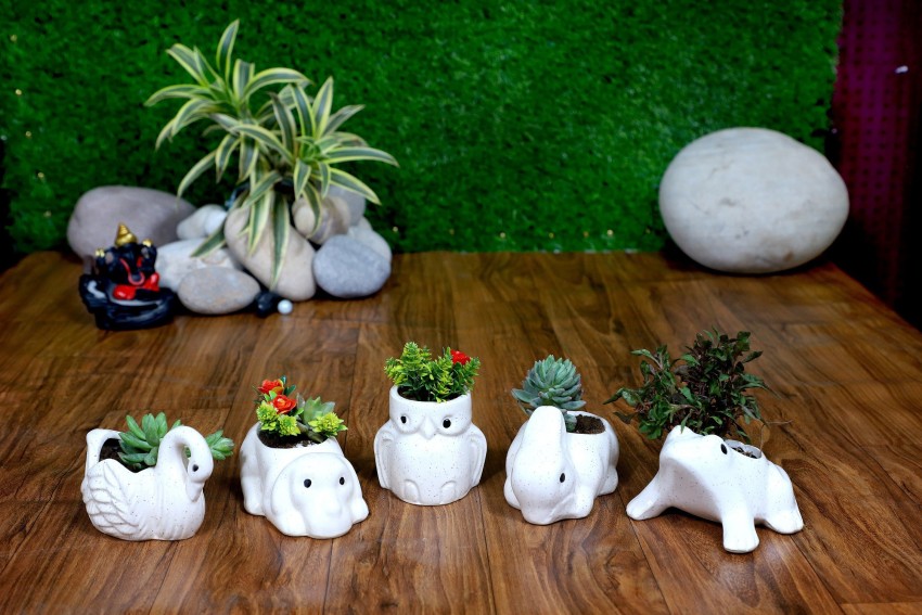 Jimkia Handmade Ceramic Planter Pot (Owl, Swan, Dog, Frog, Rabbit