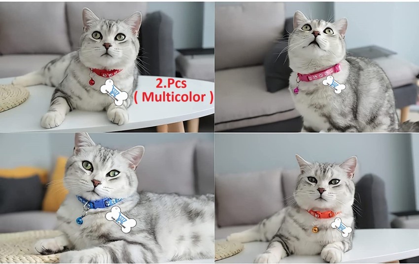 Cat collars outlet male