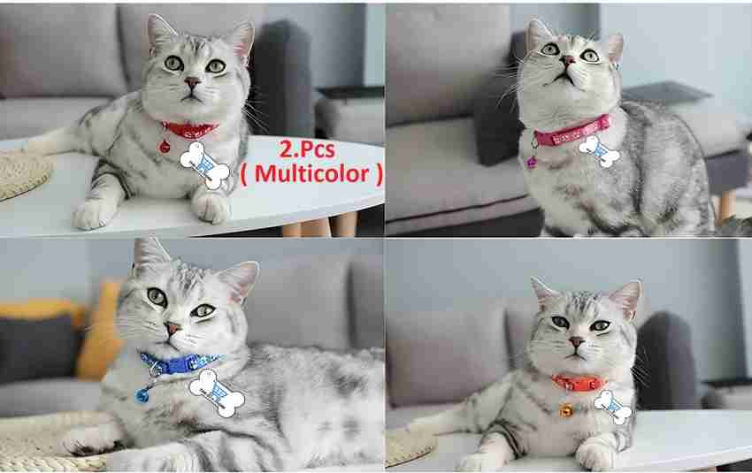 xpangle 2 Pcs Breakaway Cat Collar with Bell, Cute Adjustable Kitten Collars with Accessories (Blue Black)