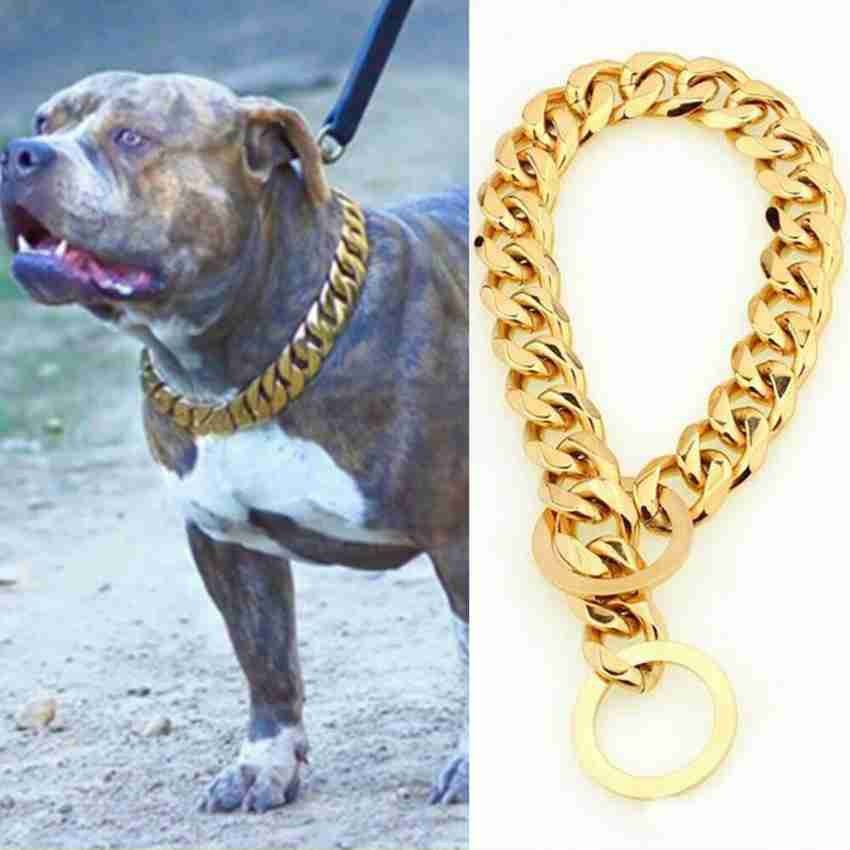 Gold on sale pitbull chain