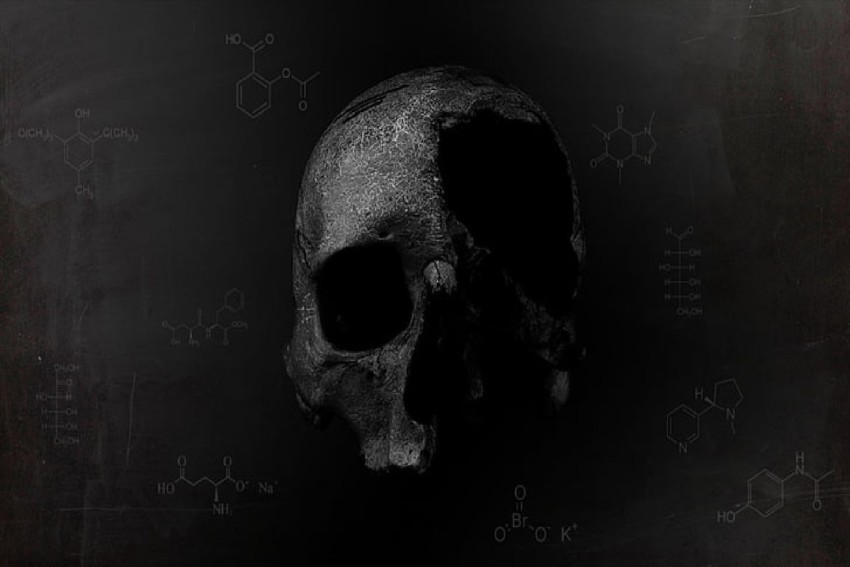 Mobile wallpaper: Dark, Skull, Horror, Scary, 1208168 download the picture  for free.