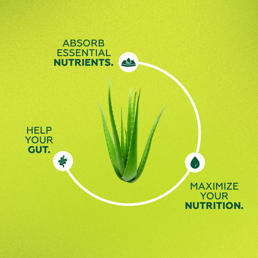 Yogabar Aloe Vera Juice Tonic For Skin and Hair Aloe Juice Oraganic No Added Sugar Price in India Buy Yogabar Aloe Vera Juice Tonic For Skin and Hair Aloe Juice Oraganic