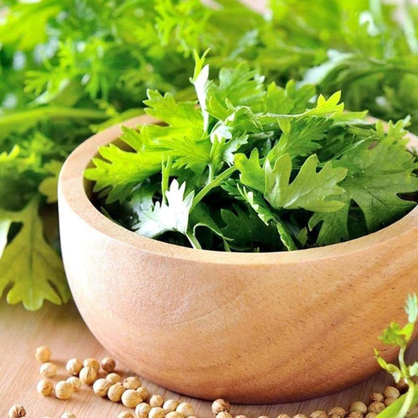 Improved Coriander