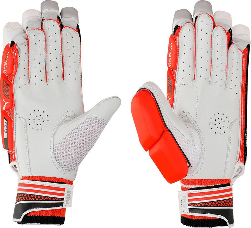 Puma 2025 evo 2