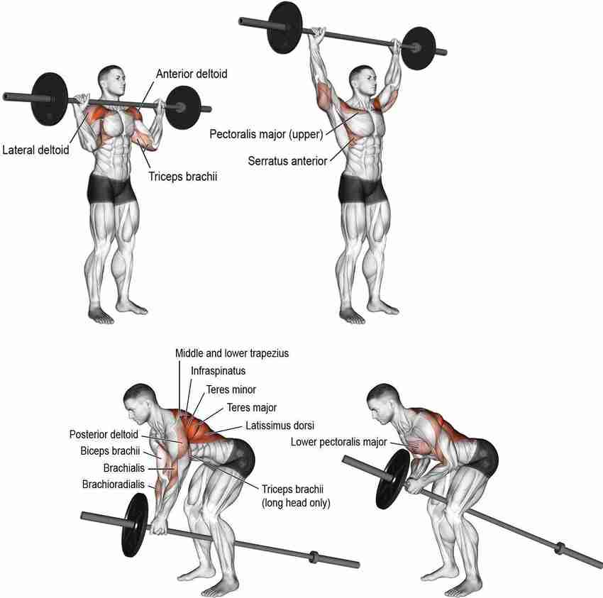 Exercise with hotsell rod and weight