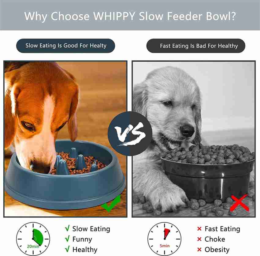 WHIPPY Dog Bowl Slow Feeder - Fun Maze Puzzle Dog Food Bowl Slow Eating  Bowl Fits into Elevated Pet Feeders for Small Medium Large Dog Pet