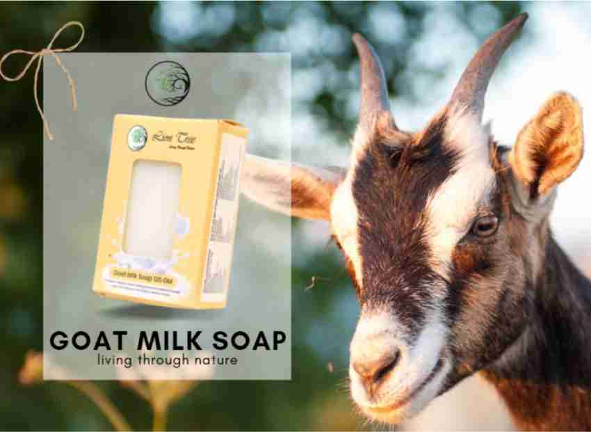 Goat Milk Soap 5 Pack 