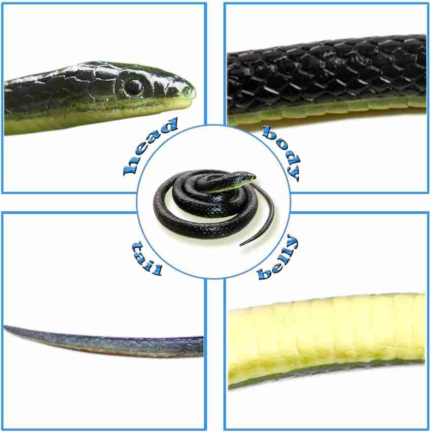 Monkey snake prank new arrivals